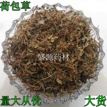 中药材马蹄金  荷包草 金马蹄草 小灯盏 小金钱 小半边钱落地金钱
