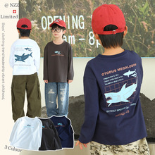 童装男童长袖T恤纯棉儿童T恤衫2025秋装新款中大童洋气外穿衣服