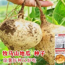 ���Rɽ�عϷN�ӛ����N�������ִ೬ˬ��ˮ���߲˷N���ļ��ϱ��ɷN