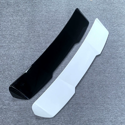 A4 B8 Travel Version | Fixed wind wing