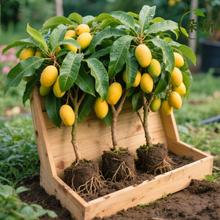 �޽�â��������â����â�玧�����~̨�râ��â�ļ������̨�Nֲ