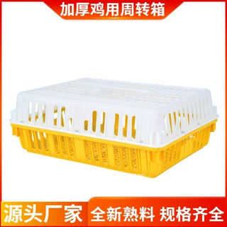 东莞厂家直供加厚10斤重塑料鸡笼 成鸡运输周转笼青年鸡用周转箱