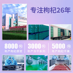 Early Kang Goji Original Juice Ningxia Fresh Goji Berry Juice Zhongning Goji Berry Wholesale Black Goji Berry Original Drink Popular Drink