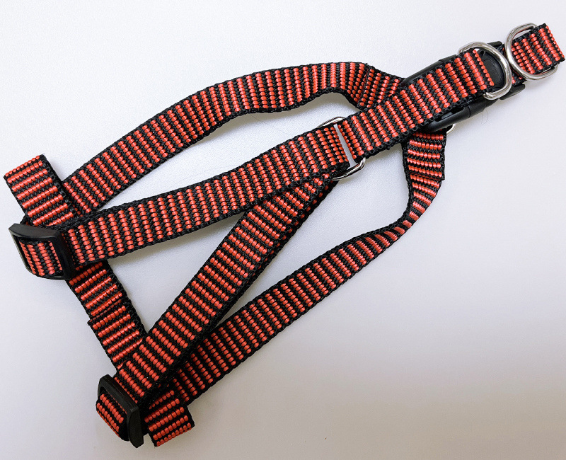 53b0d75f-e9e4-4e99-8d0c-298395ef8dee.jpe