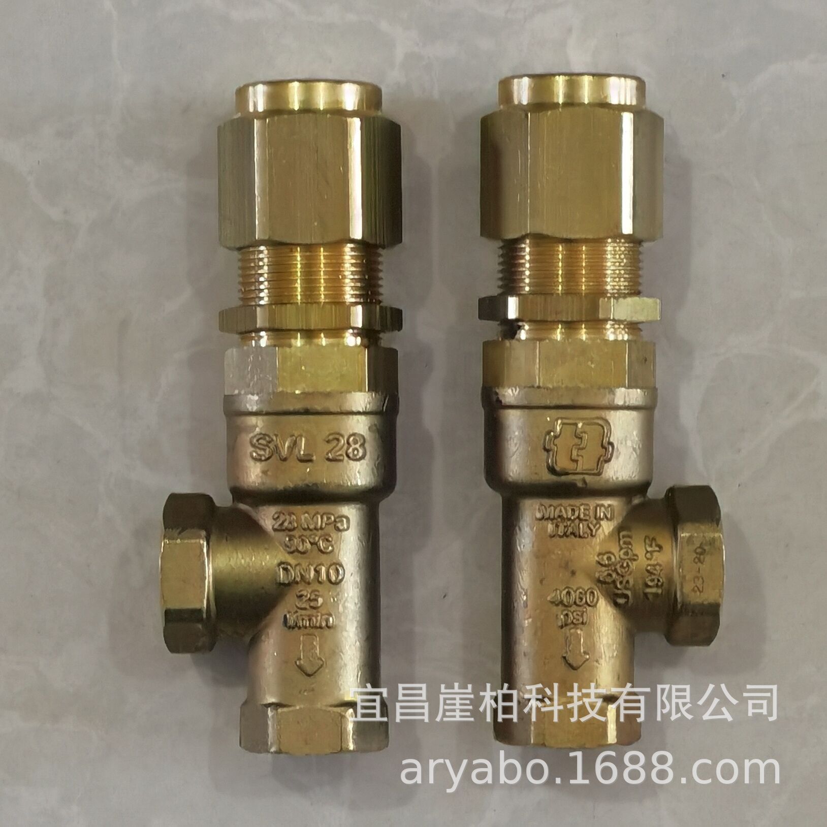 SVL 28 AR 意大利安全阀  高压水泵配件