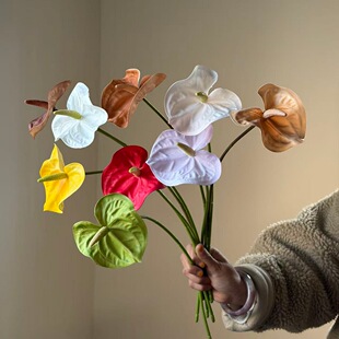 �羳���N�¿��֦С���Ʒ��滨�t��Ʒ�|Դ�^���S���lܛ�b��c����