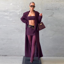 2025年秋季欧美亚马逊跨境外贸新款女装气质通勤时尚酒红色三件套