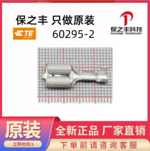60295-2 TE/̩��ԭװ��Ʒ���ֻ�
