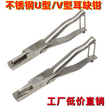 兽用不锈钢U型耳缺钳 v型夹耳钳 防疫耳钳猪用耳孔钳记号钳批发