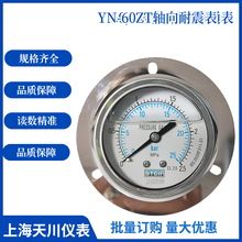 �Ϻ��촨YN-60ZT�����������ѹ������ѹ��ˮ����Һѹ����ʽ���