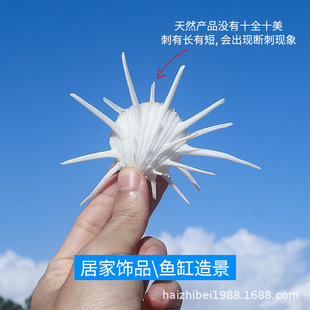 �׺��ո���Ȼ����ؐ���ղؘ˱���ˇƷdiy�~���쾰�b�С�[�����l