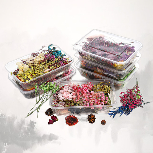 Floating flowers, dried flowers, preserved flowers, DIY glue filled flower materials, mini embossed materials, Yunnan dried flowers wholesale