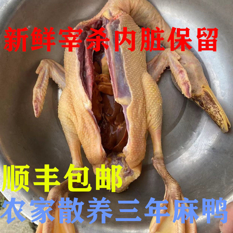 三年老鸭子土鸭子肉草鸭现杀鸭肉活鸭腿鸭老鸭谷鸭浙散养新鲜