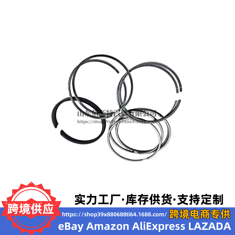 23040-2F930 is suitable for Hyundai Kia engine piston ring 23040 2F930 230402F930