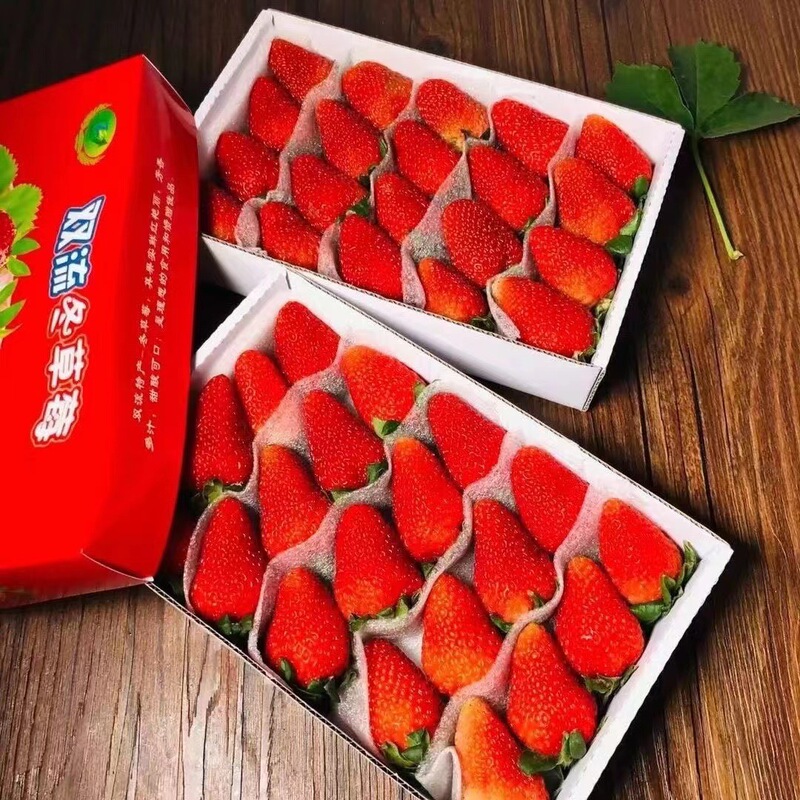 New Product Shuangliu Store Baked Strawberry Commercial Drink Cake Winter Sour Fresh Milk Tea Shop Strawberry Fruit Sf Specialty