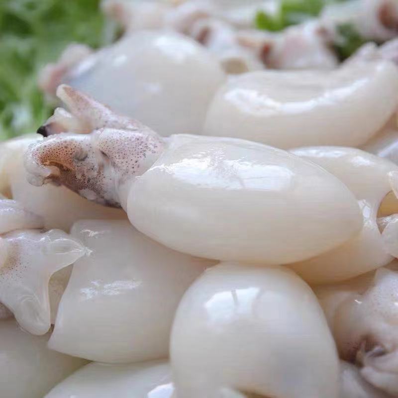 墨鱼仔新鲜冷冻小墨鱼乌贼八爪章鱼去皮去内脏水产海鲜生鲜批发