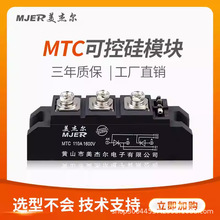 �ɿع�ģ��˫��բ��������MTC110A1600V MTC200A1600V����ģ