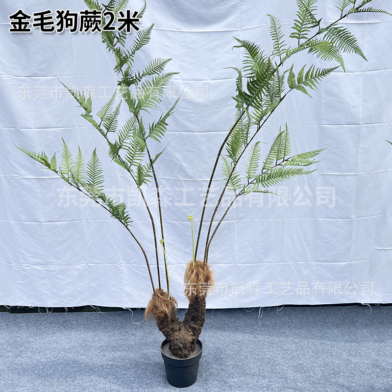 Simulación de alta simulación de plantas falsas en el suelo de plantas de plantas verdes de helechos de cabeza de mono en maceta combinadas de paisaje interior de seda dorada