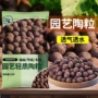 水培透气代发养花粒
