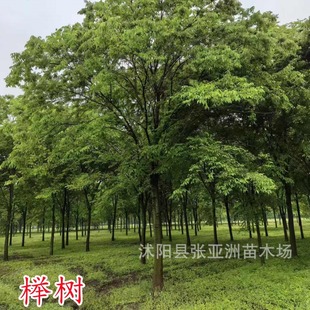 ����ֲ�l�Θ� �t�Θ����� ͥԺ�@�֘��� �L����Θ���~�Θ乤��