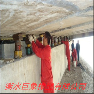 Replacement and adjustment of support for giant elephant Old Bridge disease treatment construction