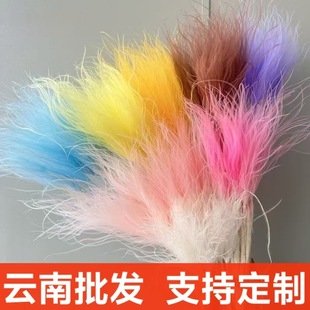 ��ë���������L�U�é�ݸɻ���ɫ�Ҿ��b��Ĕz�������������l