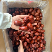 大颗粒新疆和田大枣骏枣大红枣干果零食红枣产地批发