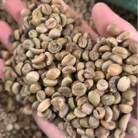 咖啡生豆;咖啡豆;配套器具