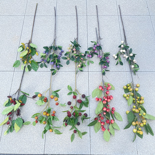 �a��؛Դ  2025�¿�{��  ��c·���b� �Ϲ����t����÷���Ĺ�