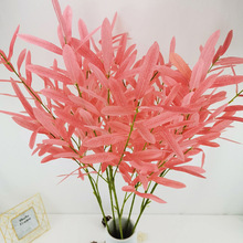 �����辰�ϙ�֦��c�ҾӔ[���Gɫֲ��6�����l���ϙ��~�߷���