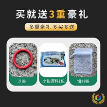 ❆鱼网儿童抓小鱼网捞龙虾捕虾笼抓麦穗工具大全渔网童捉黄鳝泥鳅