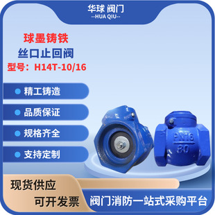 H14T-10/16�T�F�z��ֹ���yDN25-DN100��ī�T�F�y�T�����y������