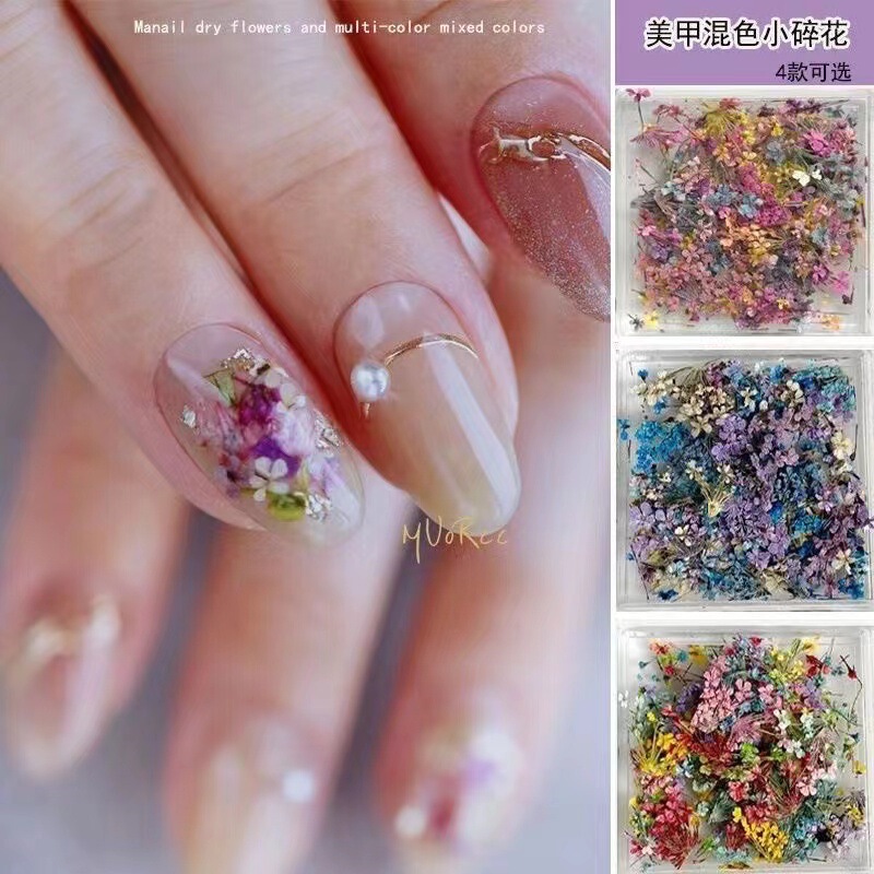 Manicure Dried Flower Nail Jewelry Japanese Ins Style Monet Garden Oil Painting Petal Flower Floral Diy Material Wholesale