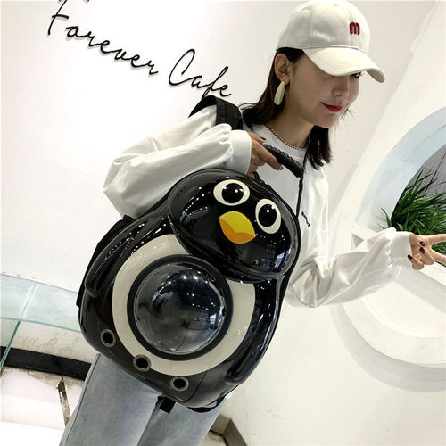 Pet Bag Cat Bag Space Capsule Breathable Outdoor Portable Backpack Dog Bag Dual Shoulder Large Cartoon Cat Backpack Dropshipping