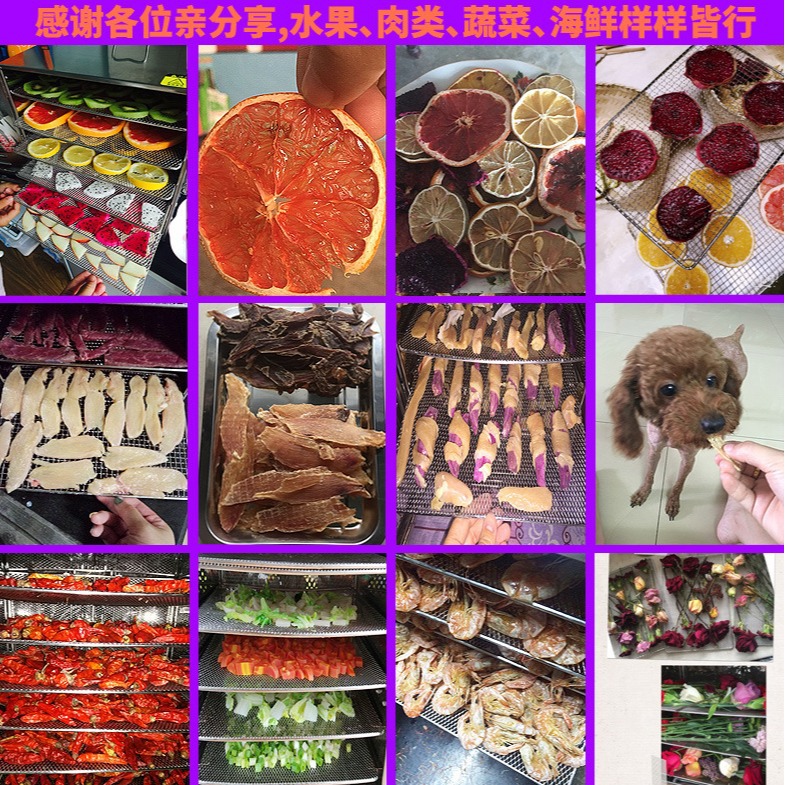Lechuang comercial secador de frutas alimentos solubles frijoles hogar carne seca aperitivos fruta té fruta y verdura secador de frutas secas