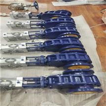 Z644TC气动双闸板出料阀 气动双插板阀气动输灰进料阀DN200