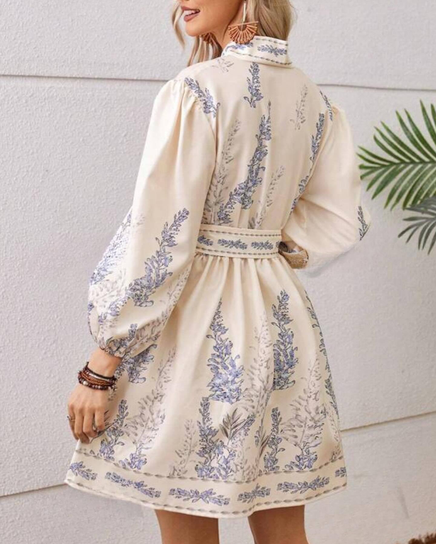 Cross-border European And American 2025 Spring New Women's Fashion V-neck Long-sleeve Bohemian Printed Dress_ecoleips.com