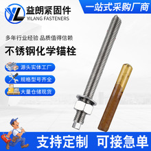304不锈钢化学螺栓药剂锚栓膨胀倒锥螺丝M8M10M12M16M30工程专用