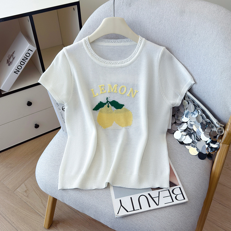 2026 Summer New Versatile Round Neck Loose Jacquard Embroidered Ice Silk T-Shirt Tencel Linen Knit Top for Women