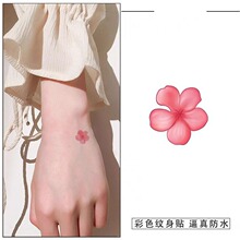 Lɻֱi_׸ֵɫyNŮˮ־СDN