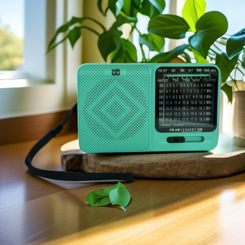 Radio multifunción portátil al por mayor transfronteriza batería seca recargable Semiconductor de doble uso para personas mayores en voz alta
