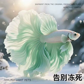 狗狗窝/笼/垫;猫猫窝/笼/垫;盆栽