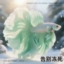 泰国到家半月热带观赏鱼