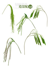 �پGֲ�b��҃ȾGɫСֲ���쾰�廨����b���΢���^�[��