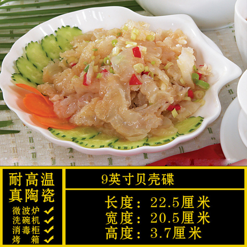 《9inch 쉘 디스크》