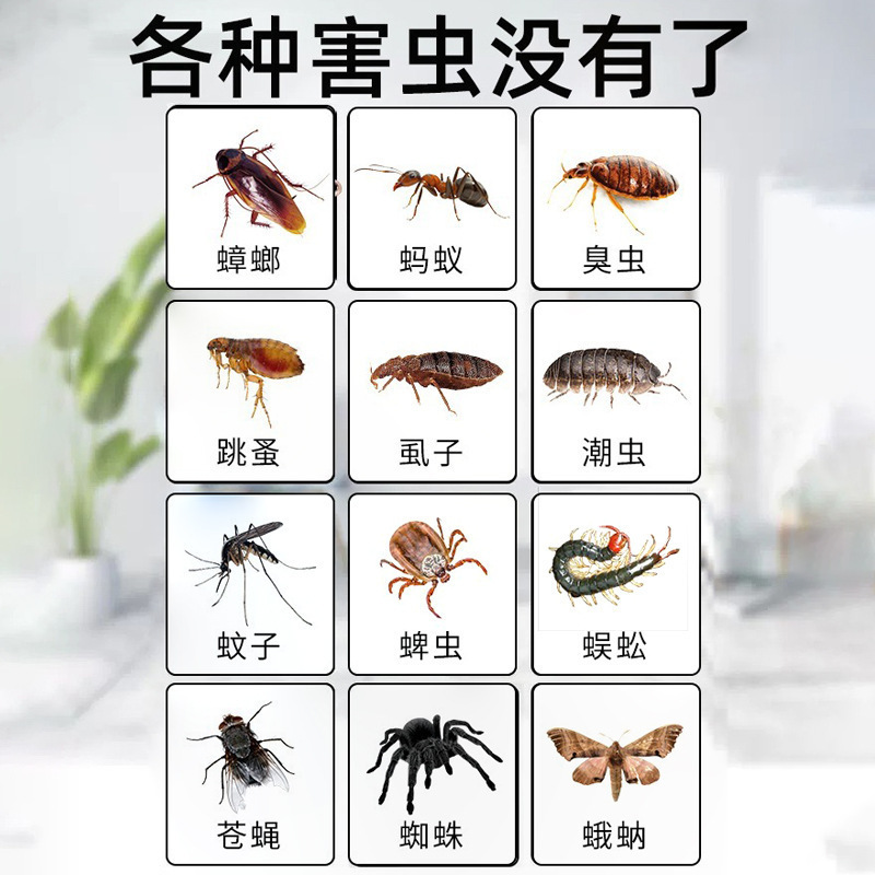 驱虫室内防虫药家用魔盒杀虫剂喷雾灭蜘蛛蟑螂非无毒驱蚊神器一盒|undefined