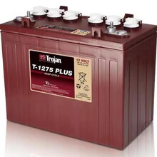 Torjan늳T-145 6V260AH ܇ϴ^܇늄Ӳ܇