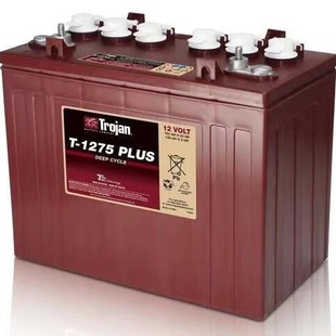 Torjan����늳�T-145 6V260AH ����܇ϴ���^��܇늄Ӳ�܇��