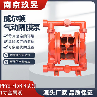 WILDEN�����D��Ӹ�Ĥ��XPR260/SSAAA/TNU/TF/STF/0014�ͱ�