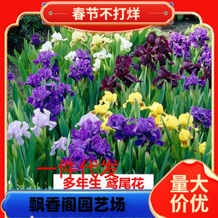 һ�����l�����Sβ���������҃ȵ���ͥԺ����ͥԺ�ļ��_������